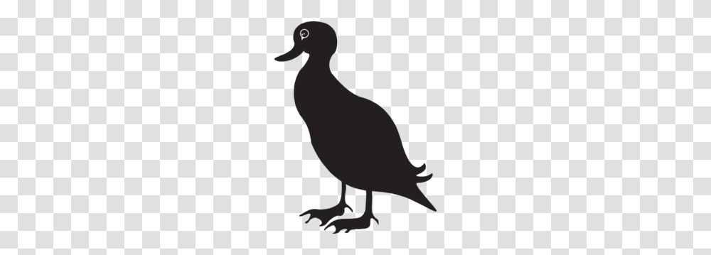 Black Duck Silhouette Clip Art Duck Silhouette, Animal, Mammal, Bird, Kangaroo Transparent Png