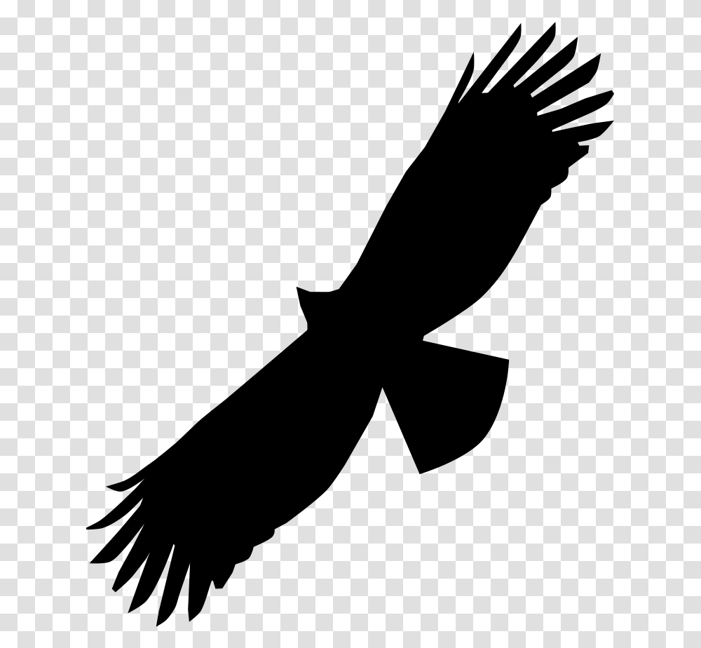 Black Eagle Bird Of Prey Bald Eagle Beak Swainson Hawk Silhouette, Gray, World Of Warcraft, Halo Transparent Png