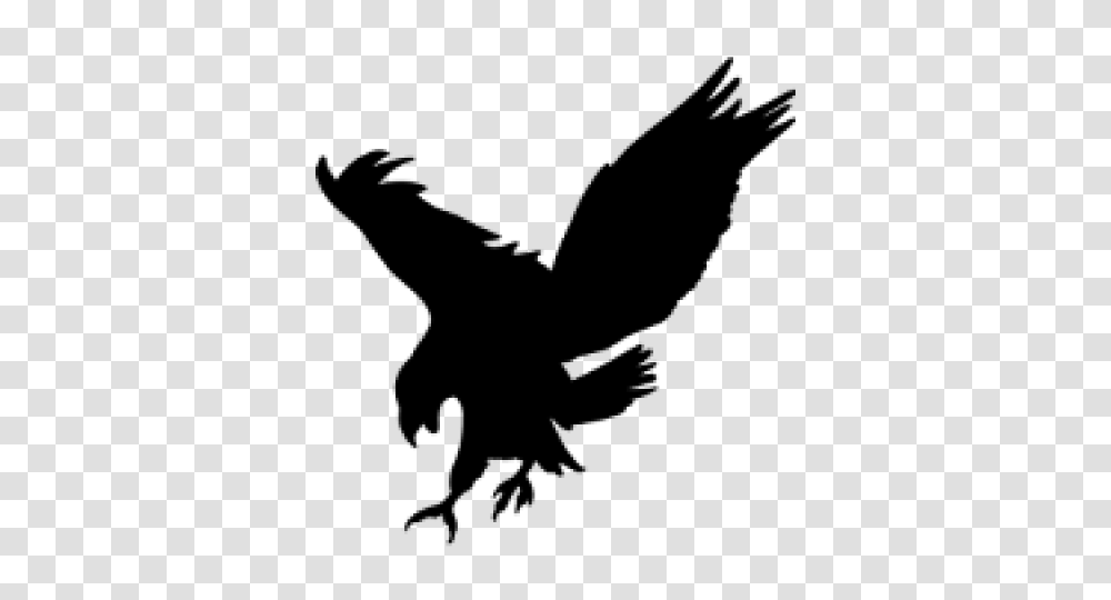 Black Eagle Clipart, Gray, World Of Warcraft Transparent Png