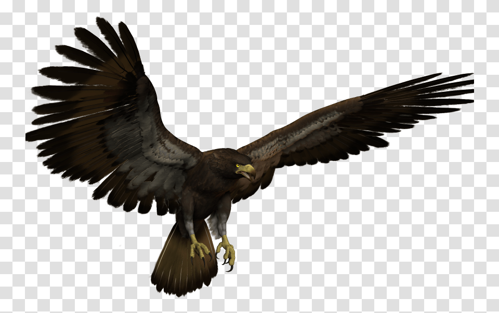 Black Eagle Flying Clipart Download Flying Black Eagle, Bird, Animal, Vulture, Buzzard Transparent Png