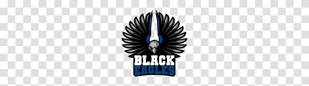 Black Eagles, Bird, Animal, Bald Eagle, Poster Transparent Png