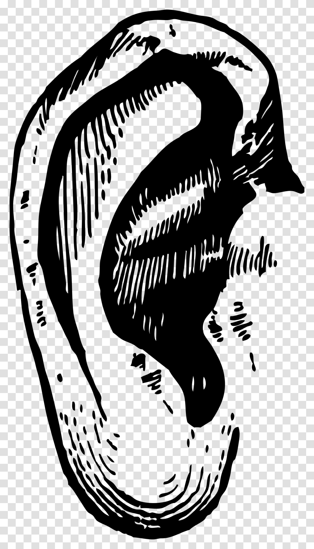 Black Ear Ear Illustration, Animal, Dinosaur Transparent Png