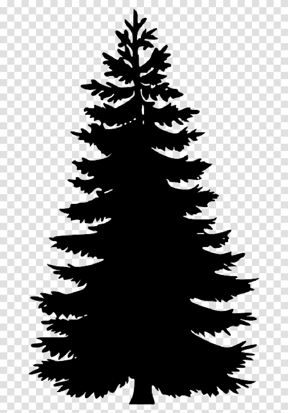 Black Evergreen Large Outline Silhouette Tree Pine Tree Vector, Plant, Ornament, Christmas Tree, Fir Transparent Png