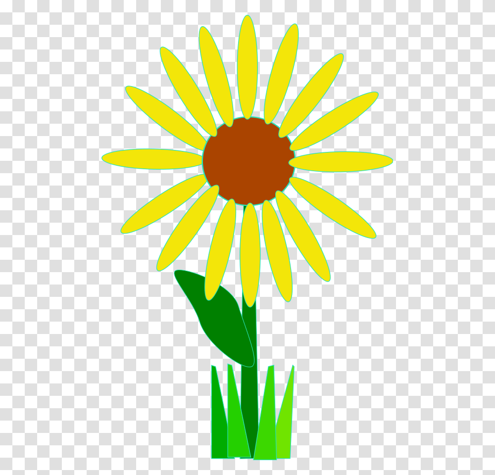 Black Eyed Susan Flower Clip Art, Plant, Blossom, Daisy, Daisies Transparent Png