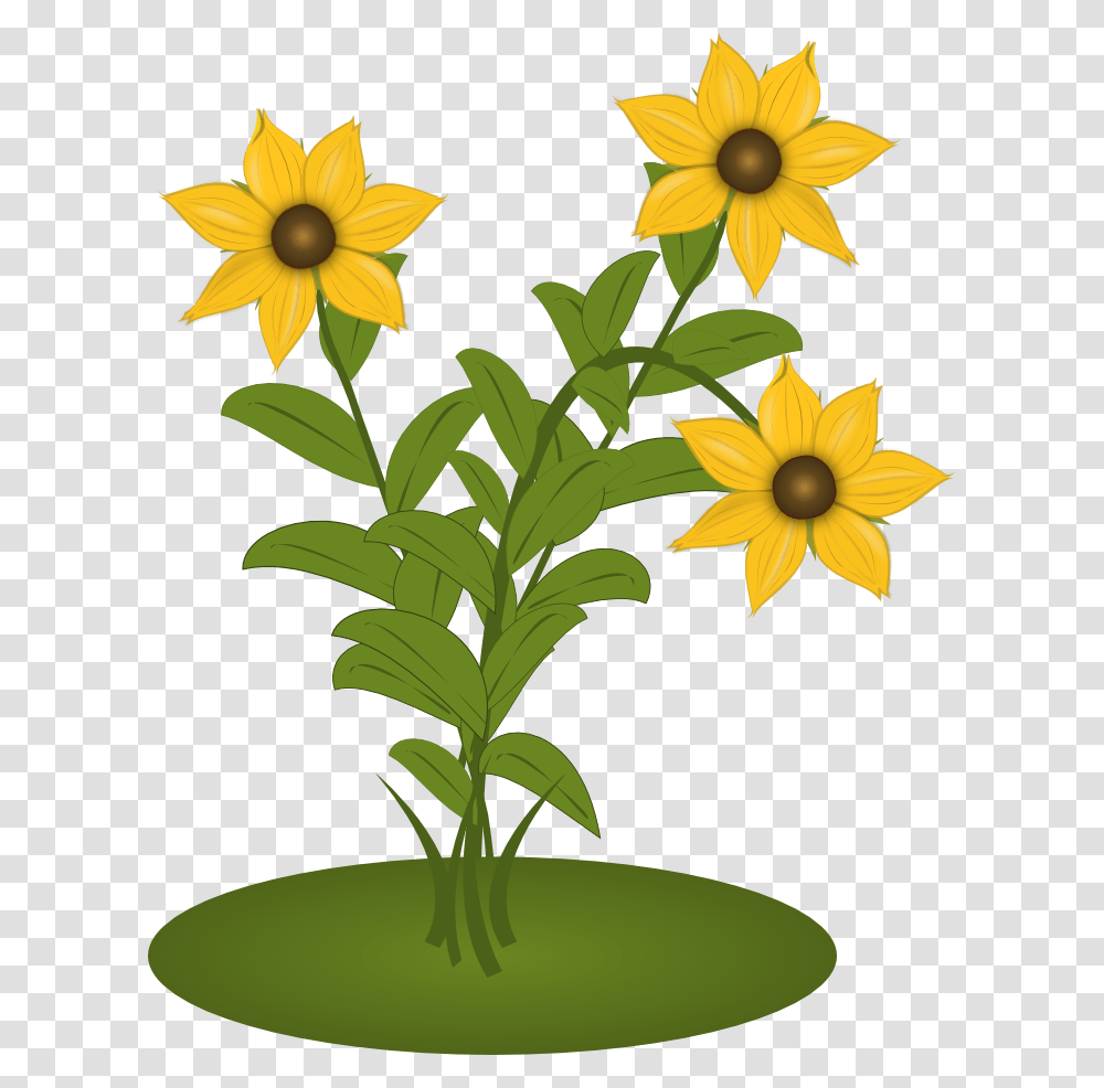 Black Eyed Susans Clip Art, Plant, Flower, Blossom, Daffodil Transparent Png