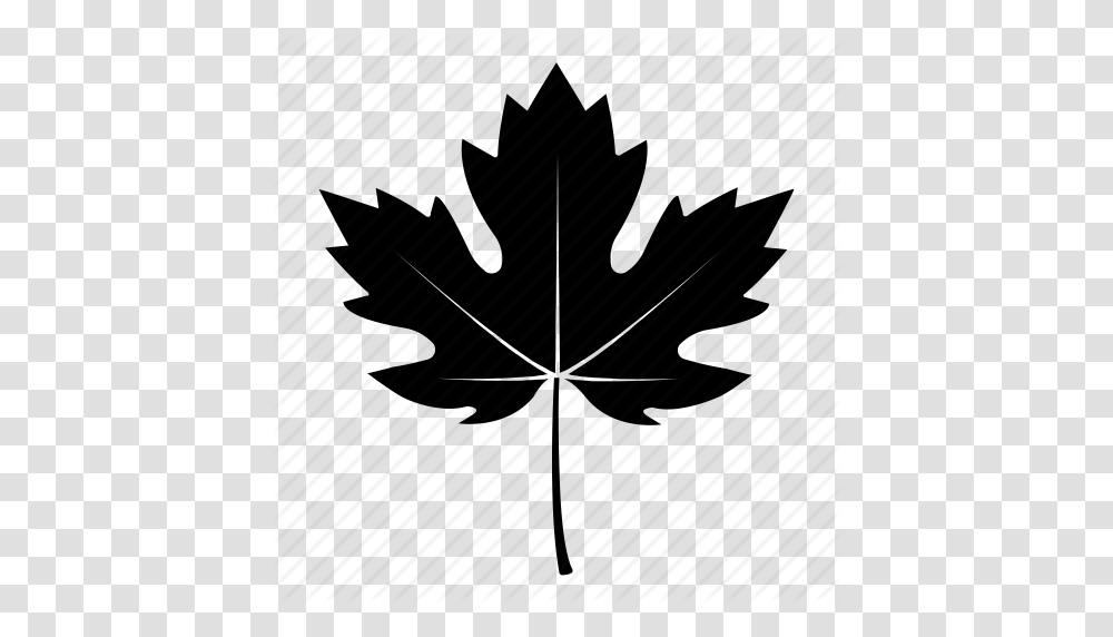 Black Fall Leaves Icon, Leaf, Plant, Maple Leaf Transparent Png