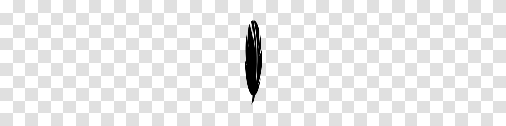 Black Feather, Gray, World Of Warcraft Transparent Png