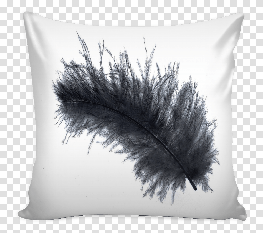 Black Feather Pillow Cover Love Quotes On Pillows, Cushion, Bird, Animal Transparent Png