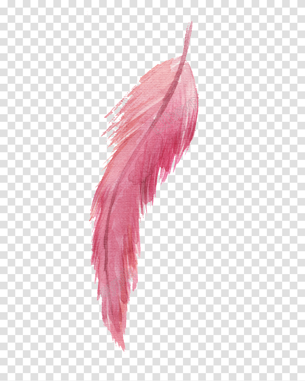 Black Feather Pink Feather, Dance Pose, Leisure Activities, Performer Transparent Png
