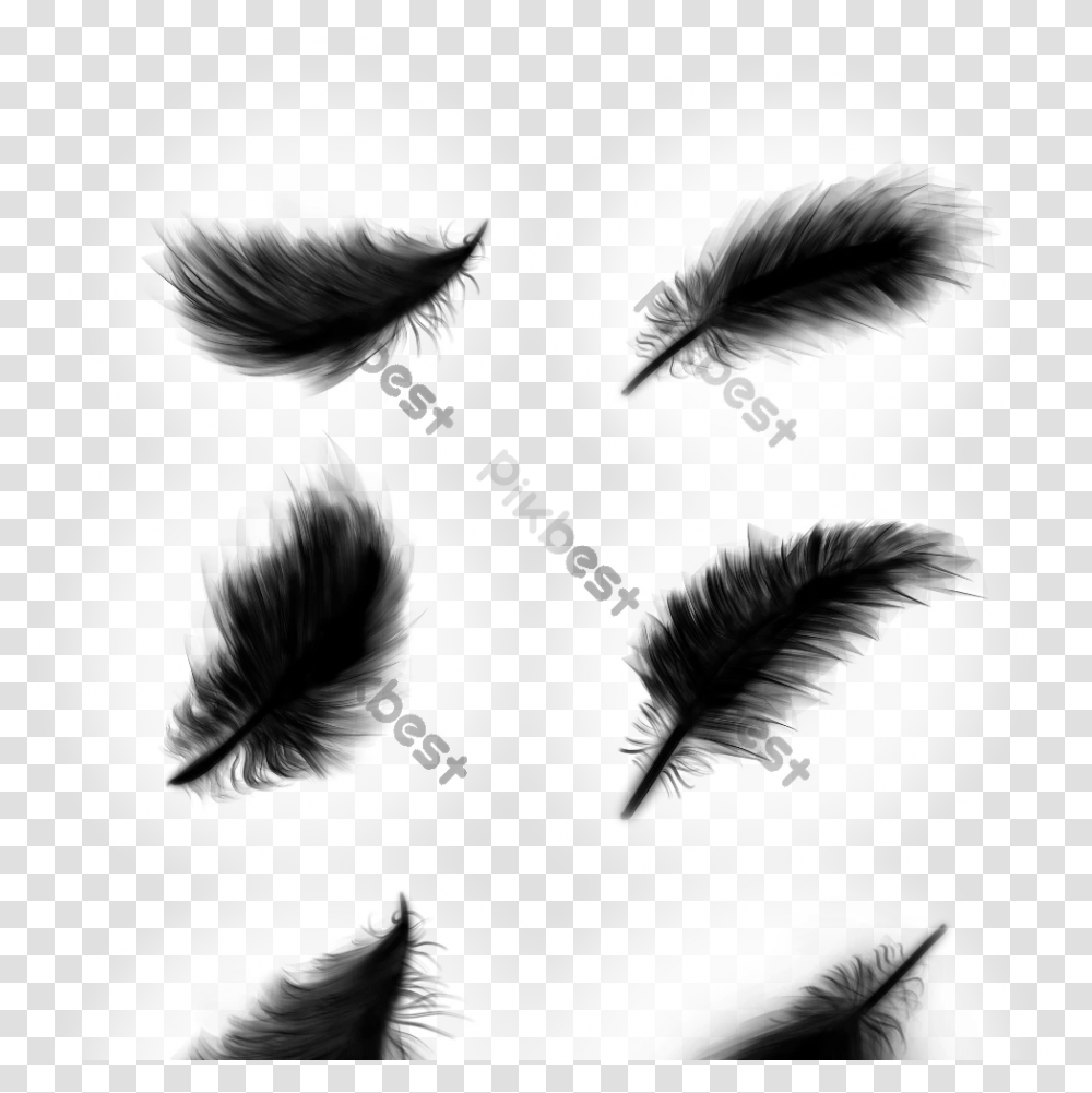 Black Feather Vector Design Element Animal Product, Face, Person, Human, Pillow Transparent Png