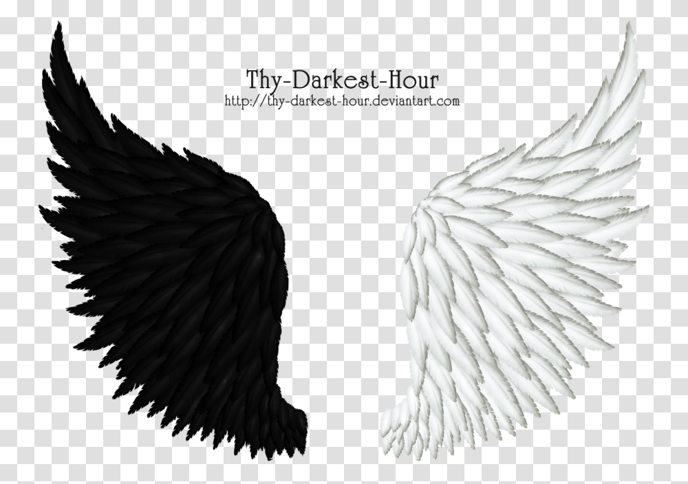 Black Feather Wing Black And White Angel Wings, Bird, Animal, Archangel Transparent Png