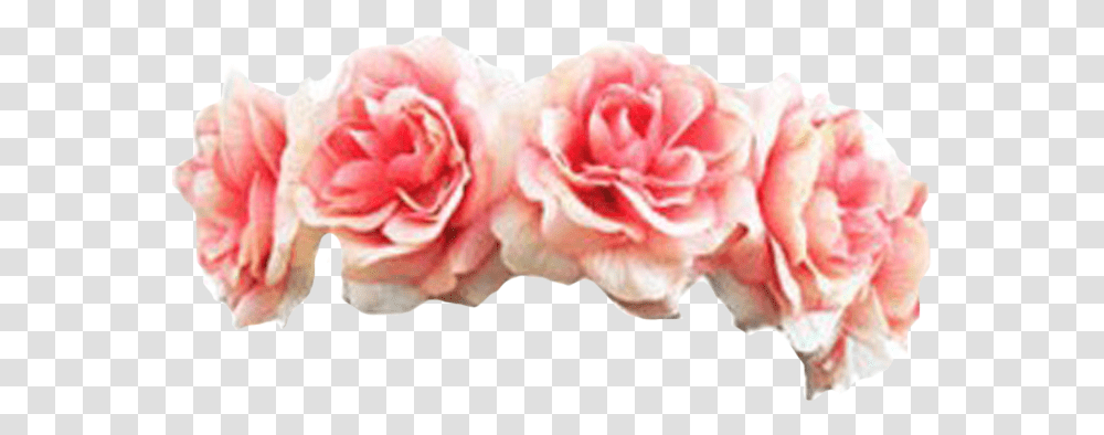 Black Flower Crown Transpa Flowers Pink Flower Crown, Plant, Blossom, Rose, Petal Transparent Png