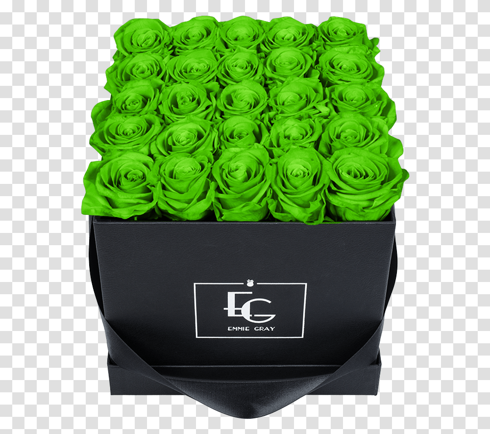 Black Flowerbox With Infinity Roses Thread, Plant, Flower Bouquet, Flower Arrangement, Blossom Transparent Png