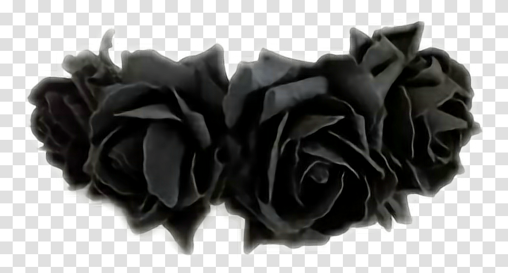 Black Flowercrown Cute Flower Sticker Flower Crown Black, Rose, Plant, Blossom, Petal Transparent Png