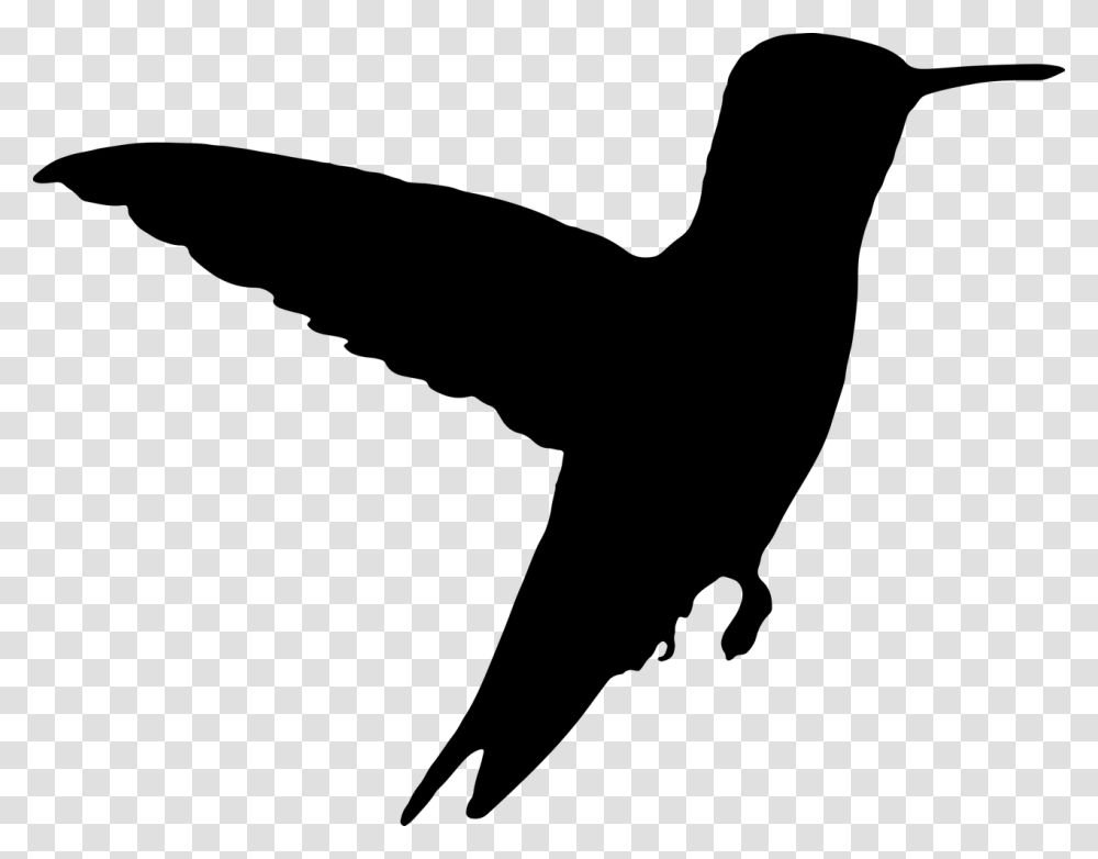 Black Flying Bird Clipart, Gray, World Of Warcraft Transparent Png
