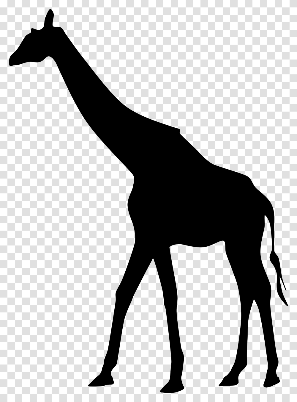 Black Giraffe Background, Gray, World Of Warcraft Transparent Png