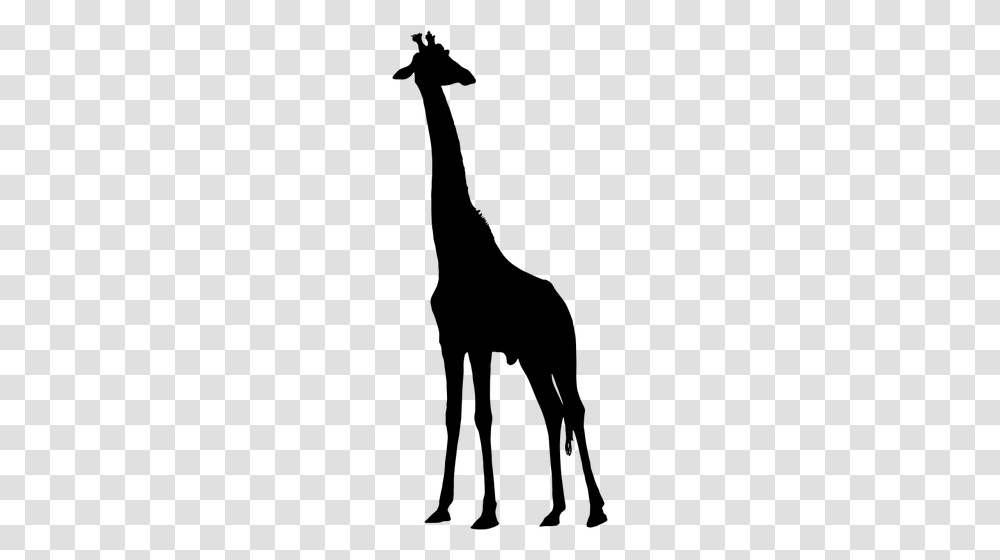 Black Giraffe Vector Image, Gray, World Of Warcraft Transparent Png