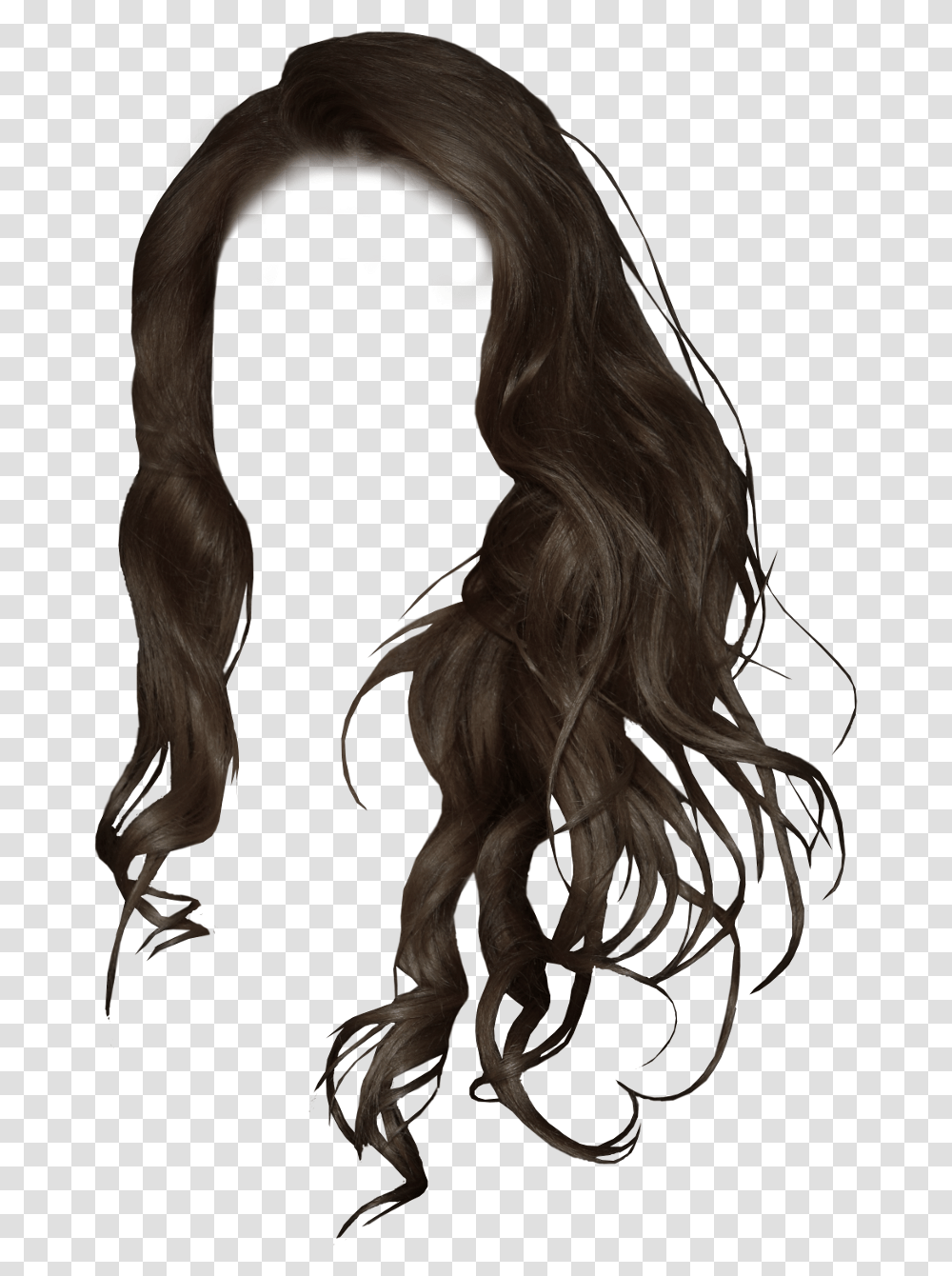 Black Girl Hair Image Library Girl Hair Style, Wig, Person, Human, Flower Transparent Png