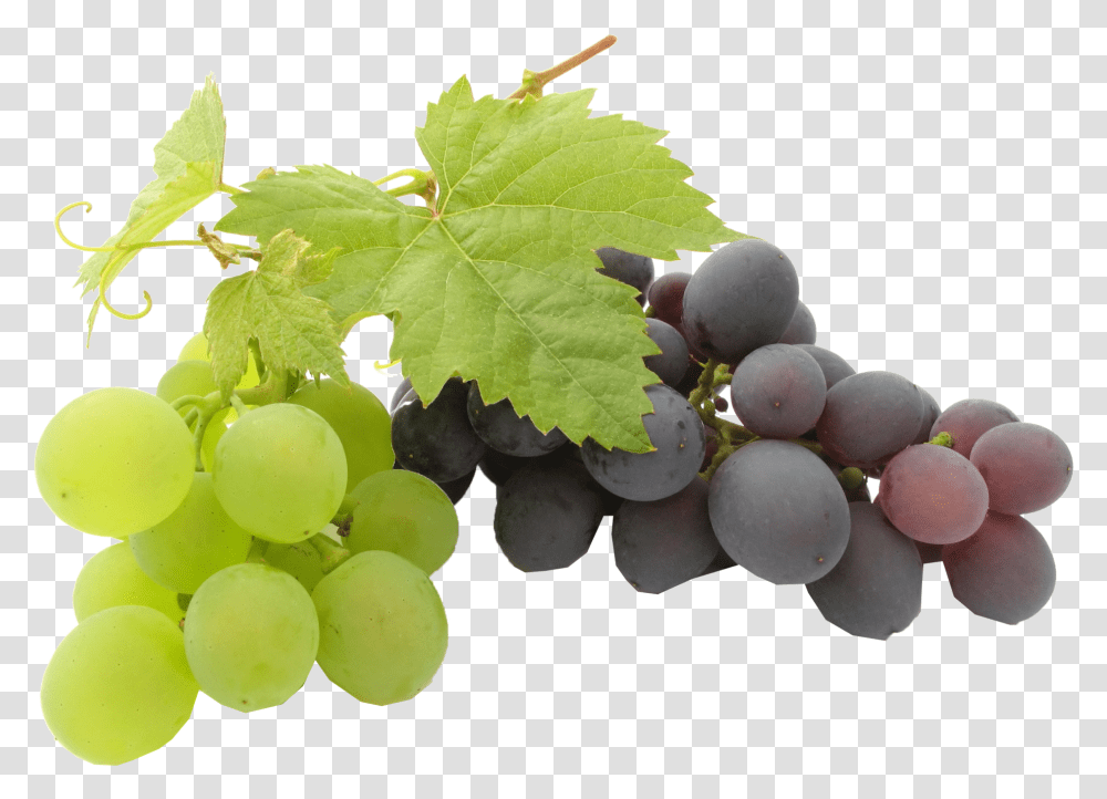 Black Grapes Background Background Grapes, Plant, Fruit, Food, Bird Transparent Png