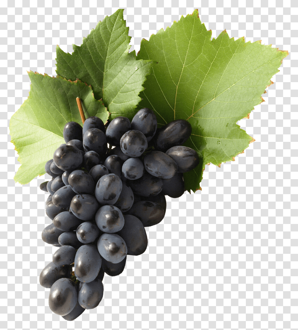 Black Grapes Background, Plant, Fruit, Food Transparent Png