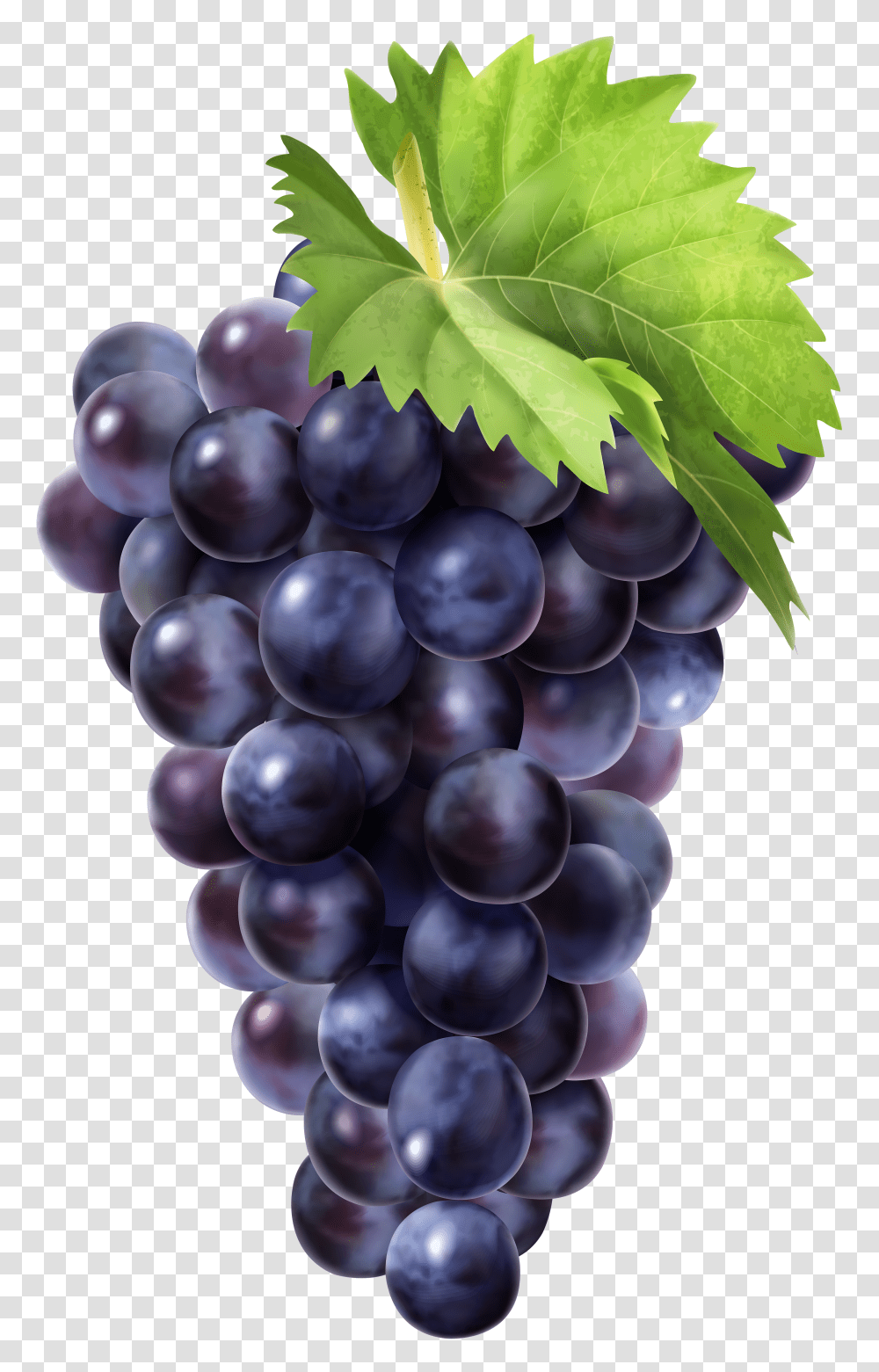 Black Grapes Clip Art Image Grapes Transparent Png