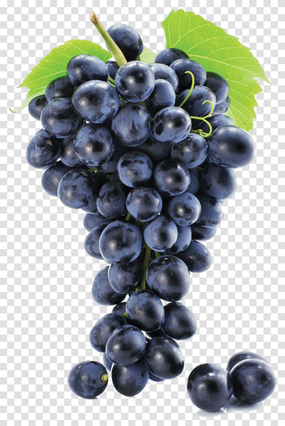 Black Grapes Free Background Grape, Plant, Fruit, Food, Blueberry Transparent Png