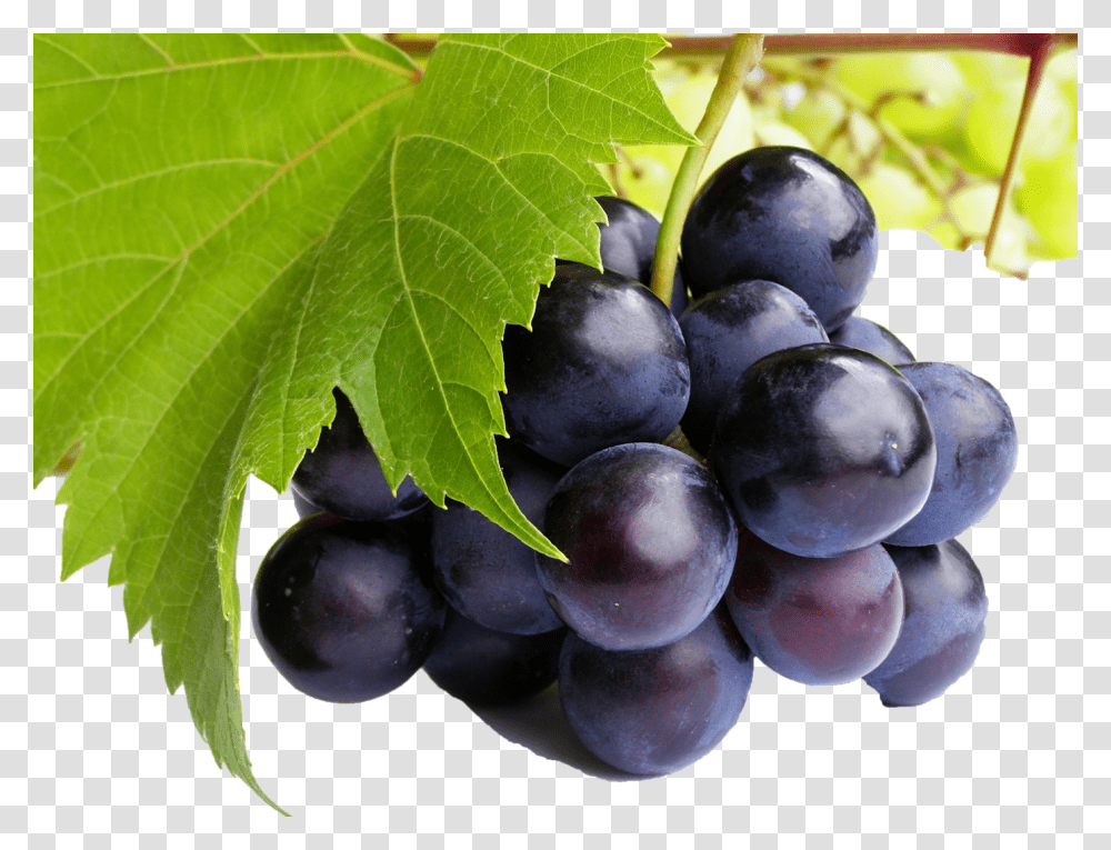 Black Grapes Free Commercial Use Images Grape High Resolution, Plant, Fruit, Food, Blueberry Transparent Png