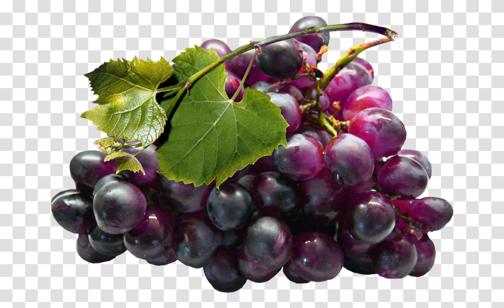 Black Grapes Grapes, Plant, Fruit, Food, Pineapple Transparent Png