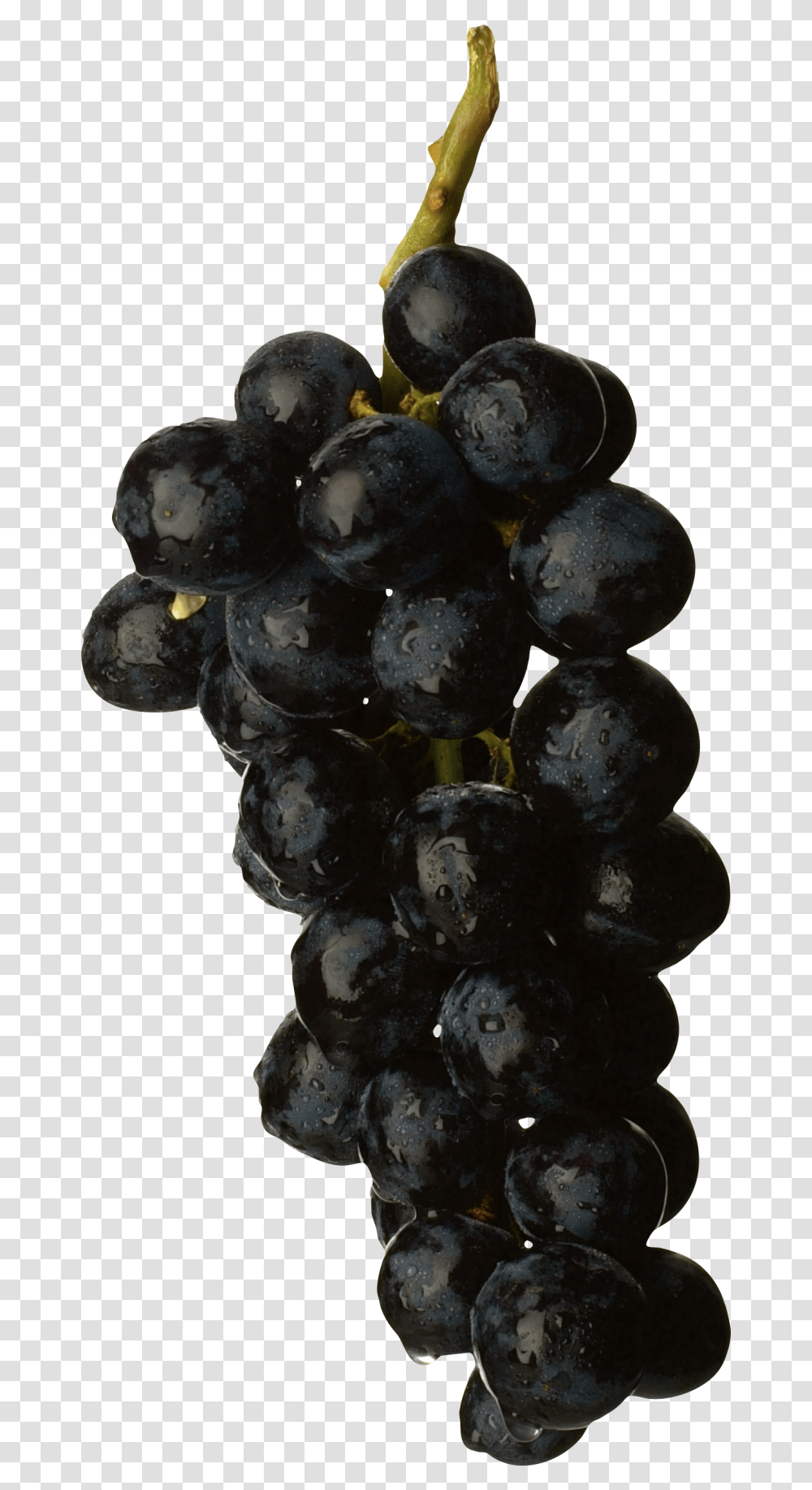 Black Grapes Image Black Grape, Plant, Fruit, Food, Fungus Transparent Png