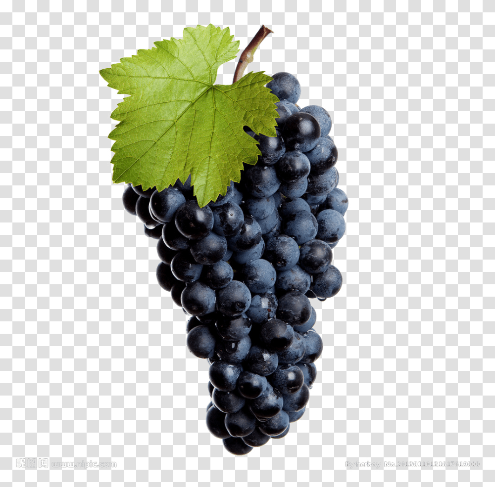 Black Grapes Image Crusher Machine For Vine, Fruit, Plant, Food Transparent Png