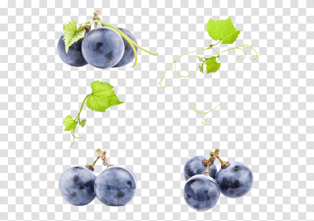 Black Grapes Photo Black Grape, Blueberry, Fruit, Plant, Food Transparent Png