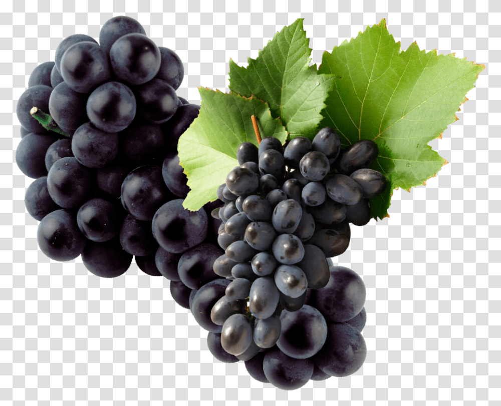 Black Grapes, Plant, Fruit, Food Transparent Png