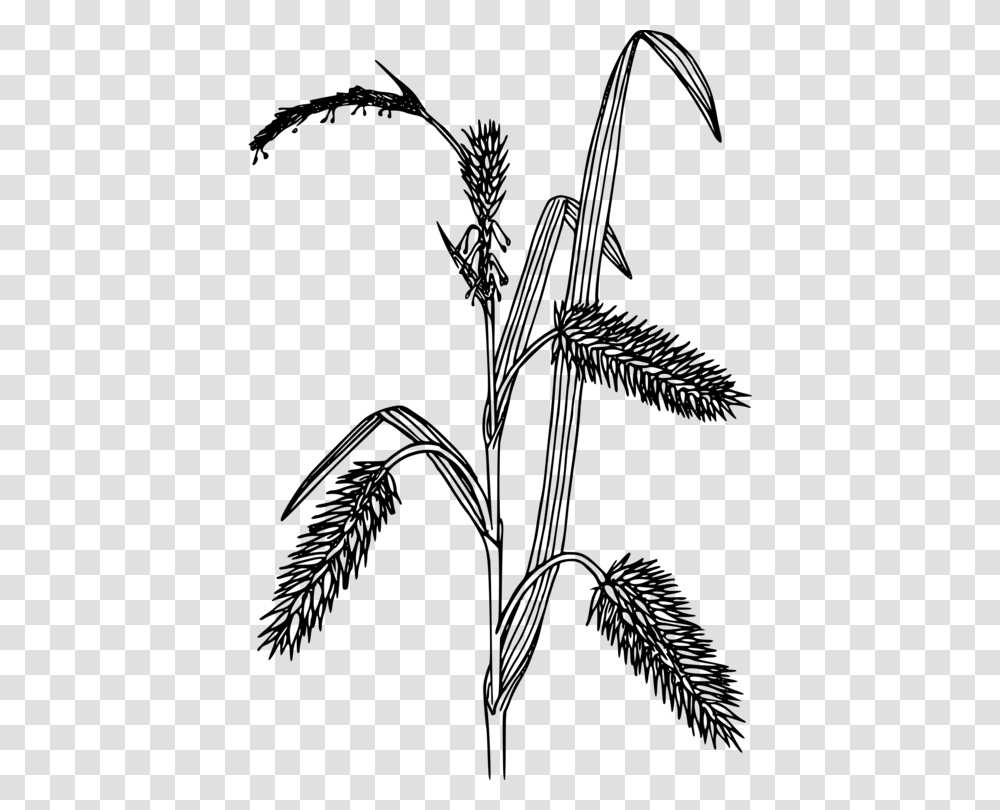 Black Grass Black And White Sedges, Gray, World Of Warcraft Transparent Png