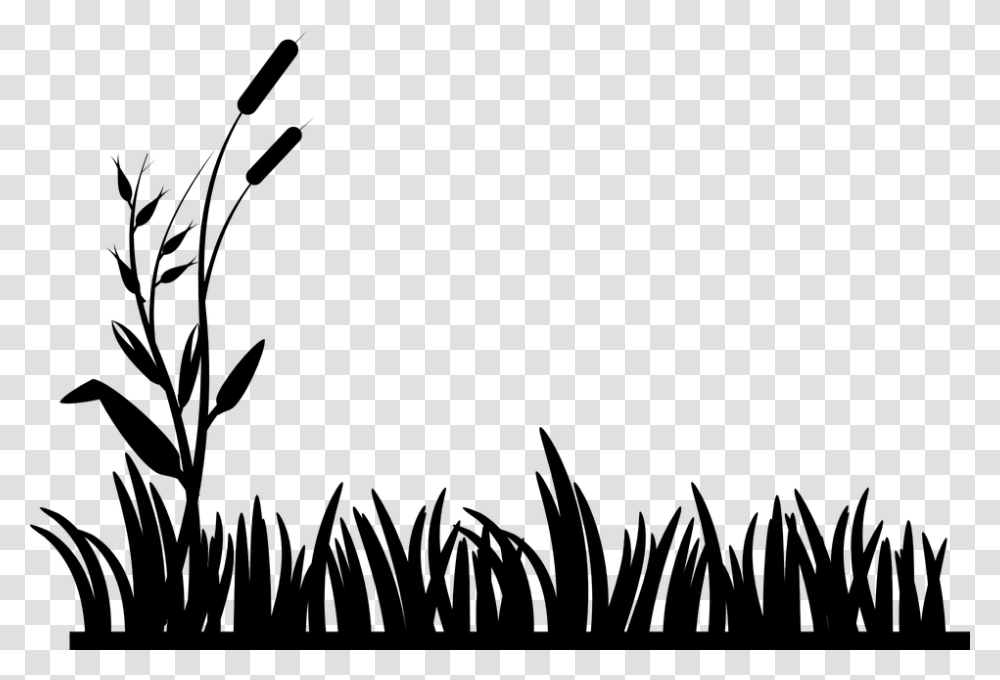 Black Grass Image, Gray, World Of Warcraft Transparent Png