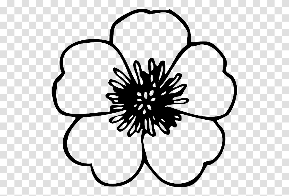 Black Green Large Simple Line Drawing Of Flower, Plant, Blossom, Petal, Hibiscus Transparent Png