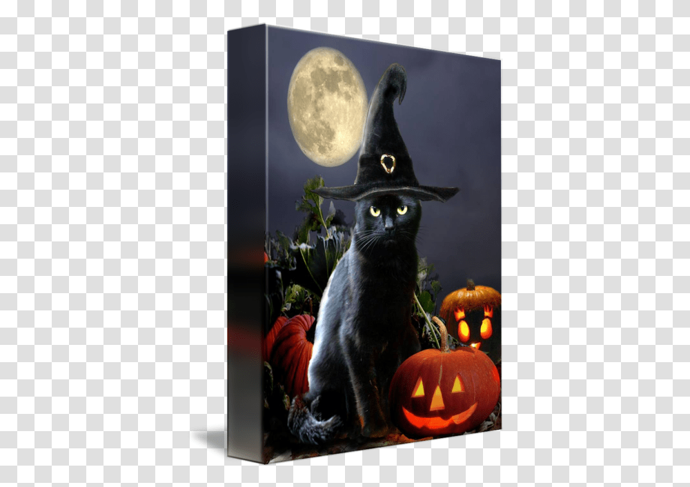 Black Halloween Cat With Witch Hat By Gina Femrite Happy Halloween Black Cat, Pet, Mammal, Animal, Plant Transparent Png