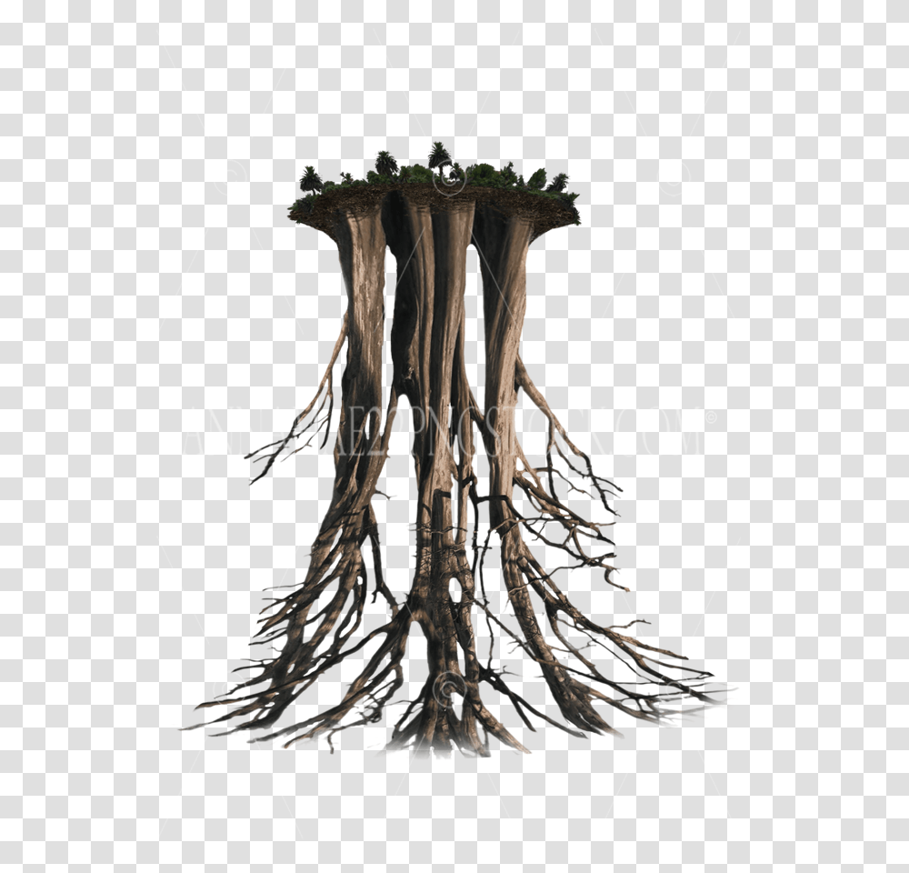 Black Hearts Are Not Born They Burned, Root, Plant, Tree Stump, Lamp Transparent Png