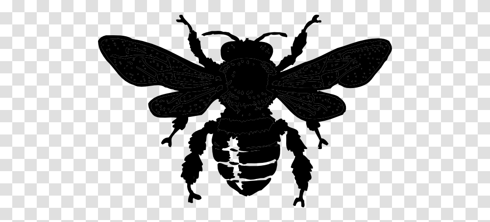 Black Honey Bee Clip Art, Stencil, Silhouette, Person, Human Transparent Png