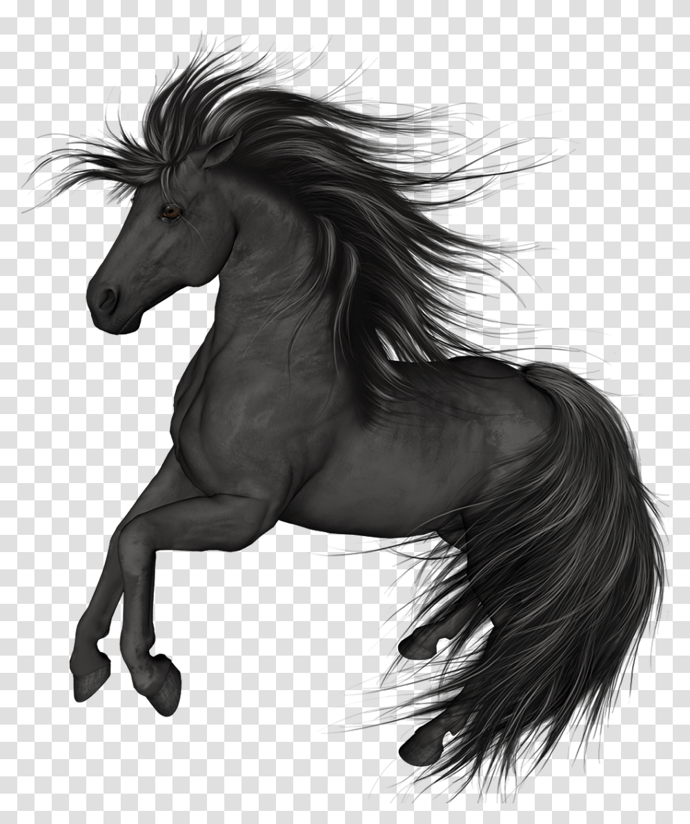 Black Horse Clip Art Horses, Mammal, Animal, Person, Human Transparent Png