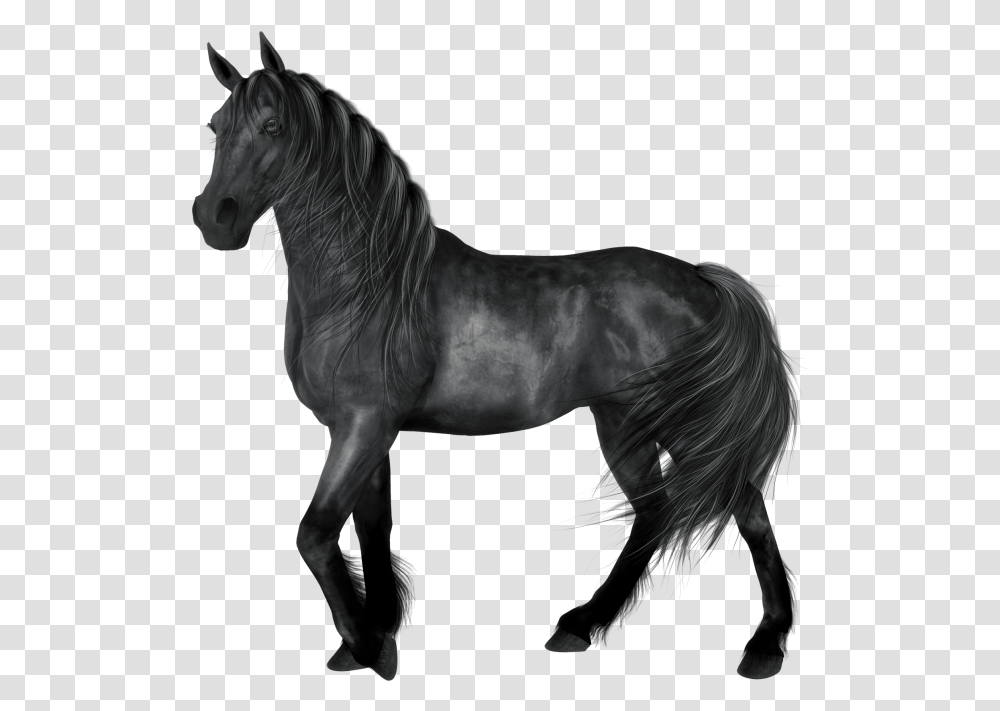 Black Horse Clip Art, Mammal, Animal, Andalusian Horse, Stallion Transparent Png