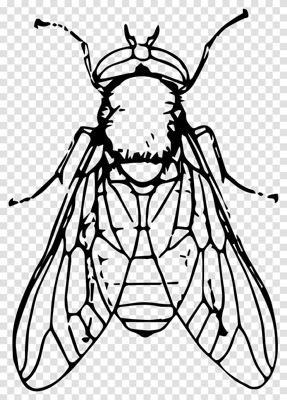 Black Horse Fly File Clip Art Black And White Fly, Gray, World Of Warcraft Transparent Png