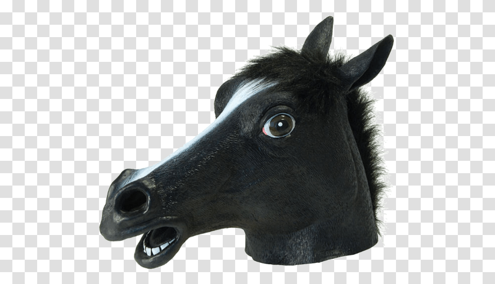 Black Horse Mask, Snout, Animal, Mammal, Head Transparent Png