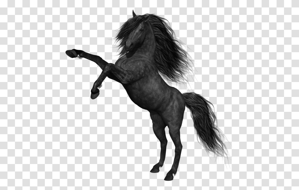 Black Horse Picture Mustang Horse, Mammal, Animal, Silhouette, Wolf Transparent Png