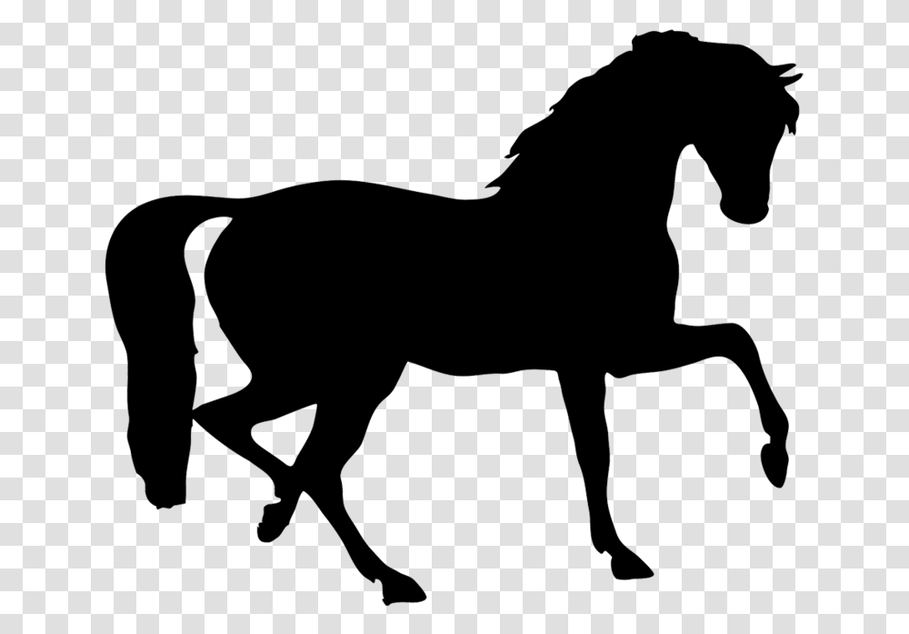 Black Horses Clipart Stock Free Black Clipart Horses, Mammal, Animal, Silhouette, Colt Horse Transparent Png