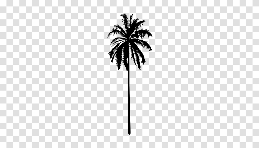 Black Isolated Palm Tree Silhouette, Plant, Arecaceae, Bow Transparent Png