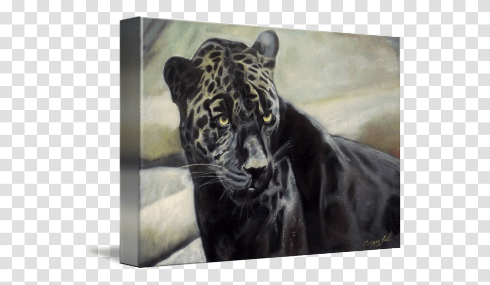 Black Jaguar Painting For Sale Black Panther, Wildlife, Animal, Mammal, Leopard Transparent Png
