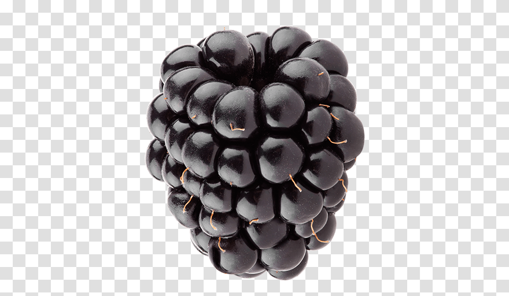 Black Jewel Grape, Plant, Raspberry, Fruit, Food Transparent Png