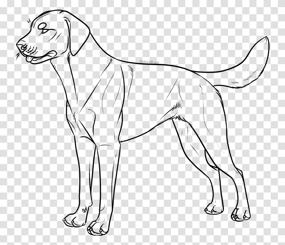 Black Lab Lineart, Gray, World Of Warcraft, Outdoors Transparent Png