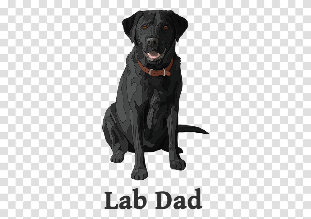 Black Lab, Pet, Animal, Mammal, Canine Transparent Png