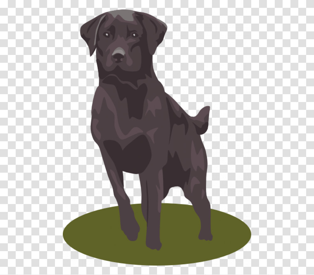 Black Labrador Clip Art, Pet, Animal, Mammal, Canine Transparent Png